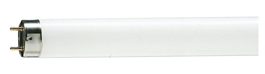  FLUO CEV 36W/54                          